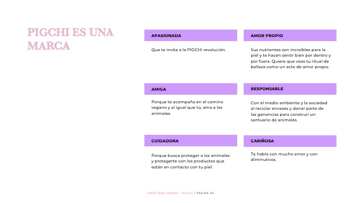 Identidad PIGCHI
