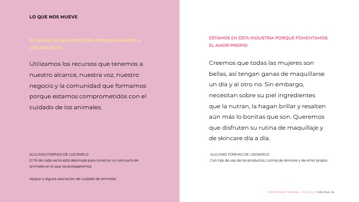 Identidad PIGCHI